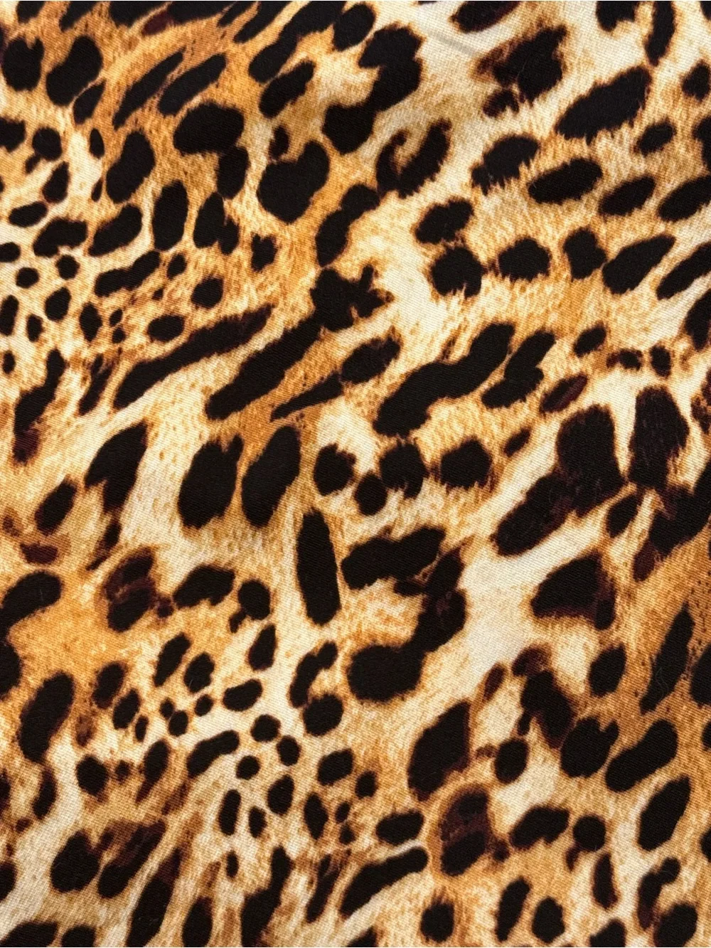 INC International Concepts Stretchy Leopard Print Shorts Size 14